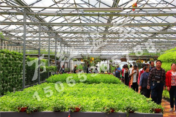 花卉展銷大廳造價